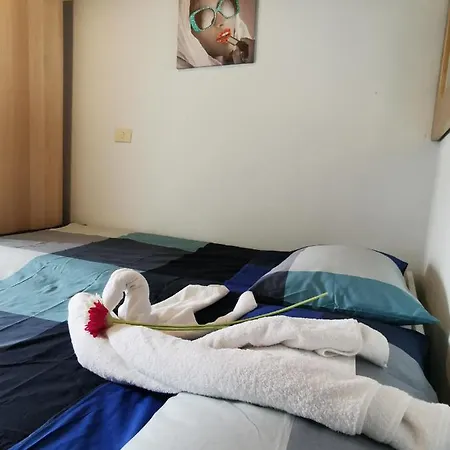 Piccola Stella Parma